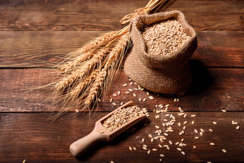 A bag of wheat ready to turn into flour