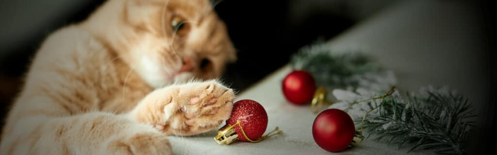 A cat plays with a common choking hazard - Christmas decorations