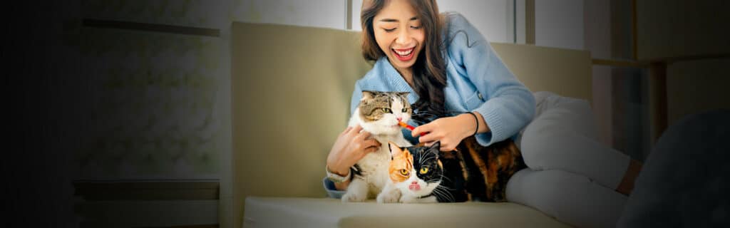 A woman plays with two cats on her sofa