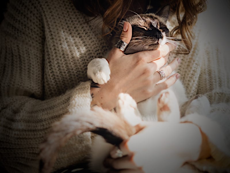 A woman holding a cat