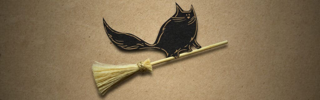 A black cat on a broomstick
