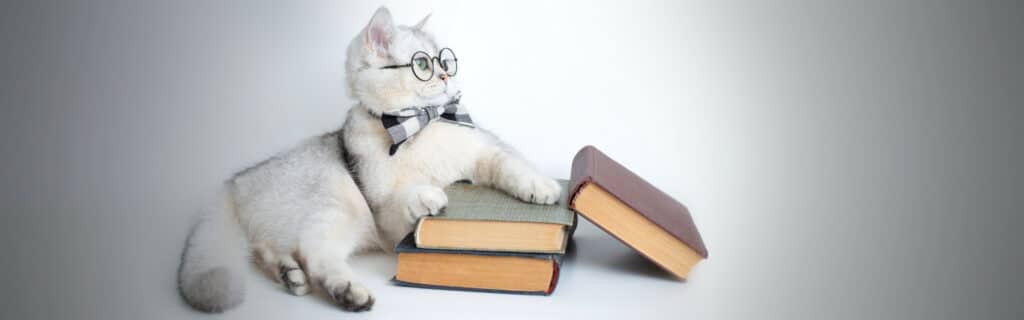 A cat wearing glasses sits on a pile of books