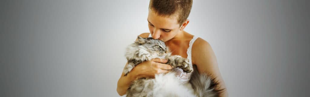 Affection is one reason why cats make great pets