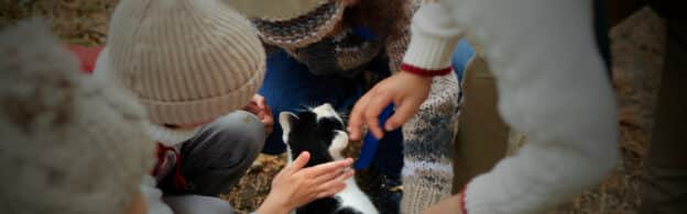 A community colony care group petting a stray cat